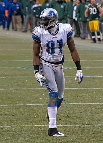 Calvin Johnson