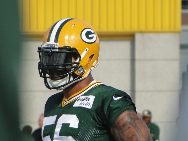 Julius Peppers NFL