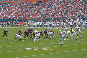 Miami Dolphins 2013