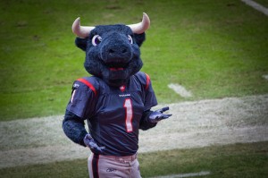 Houston Texans Toro